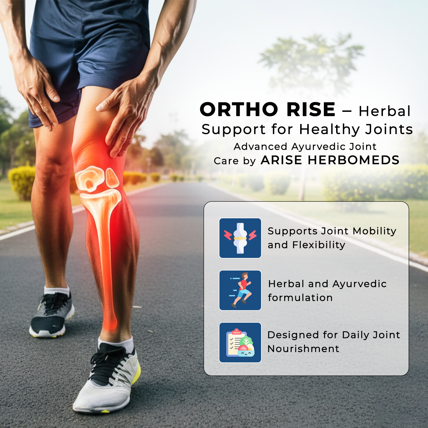 Ortho Rise Tablets | Advanced Ayurvedic Joint Support & Mobility (30 Tablets)