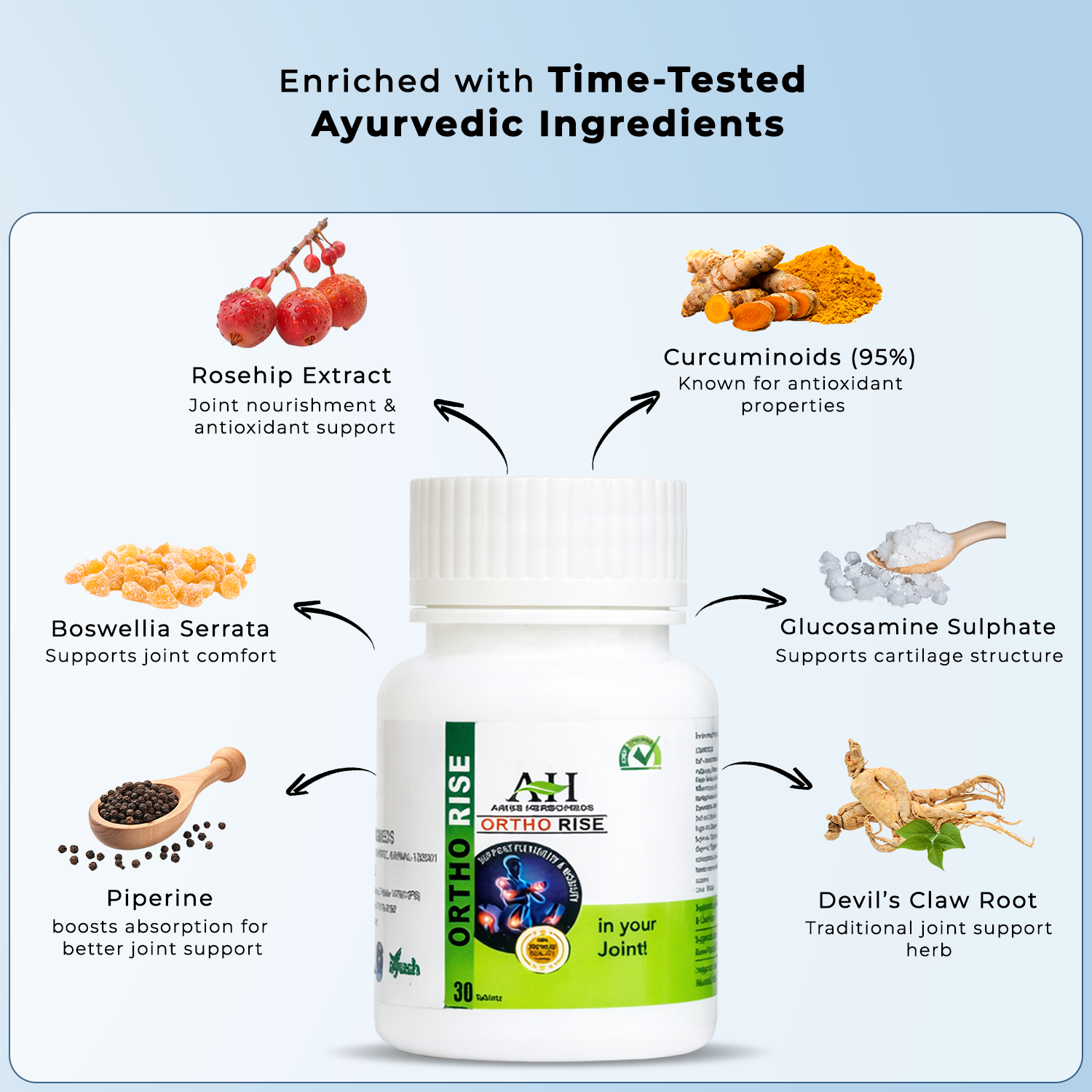 Ortho Rise Tablets | Advanced Ayurvedic Joint Support & Mobility (30 Tablets)